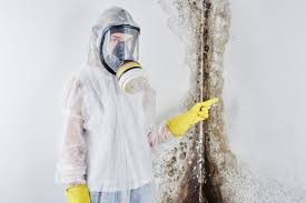 Cross City, FL Mold Removal & Remediation Company